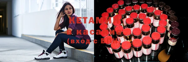 стафф Арсеньев