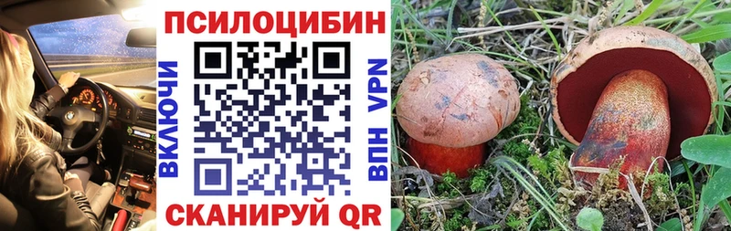 Галлюциногенные грибы Psilocybe  как найти наркотики  Полевской 
